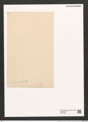 Gephyria telfairiae Arnott. (de-Toni-Nr.: Genus 102, Species 3113) Zeichnungen Sammlung Grunow (NHMW-BOT-W0374996)